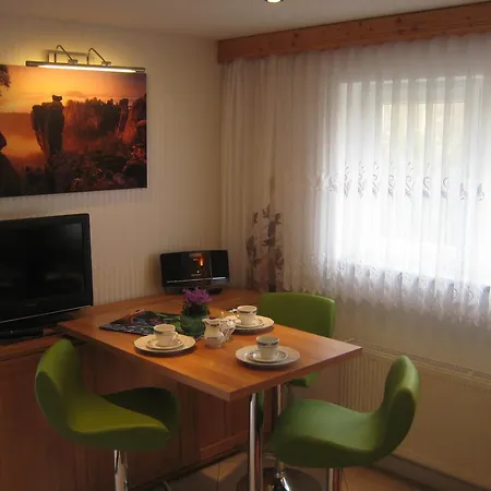Ferienwohnung Am Waeldchen Kurort Gohrisch Exterior photo