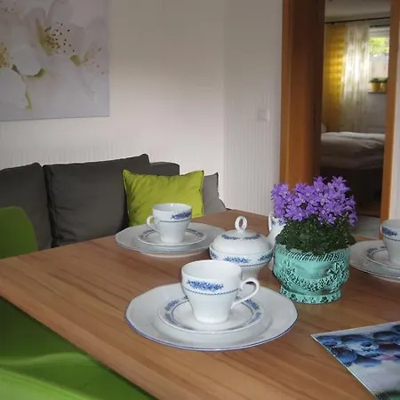 Ferienwohnung Am Waeldchen Kurort Gohrisch Exterior photo